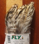  strong neck hackle chinchilla Super Fly